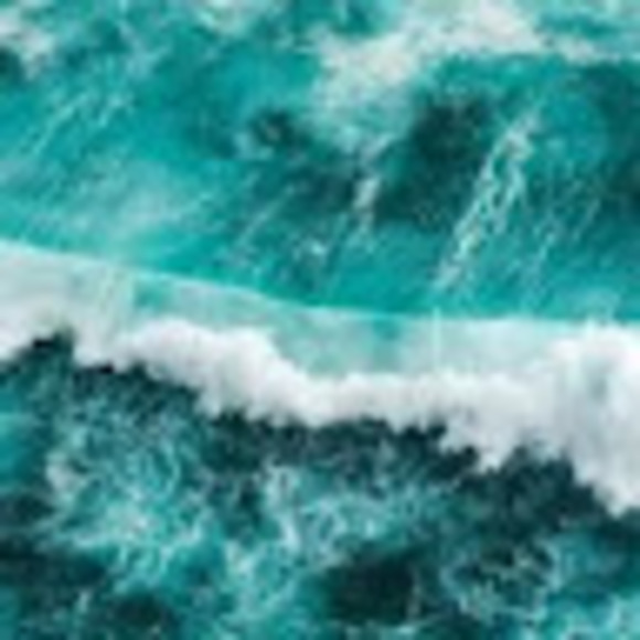 Meet your Posher, Maya - Picture 1 of 1